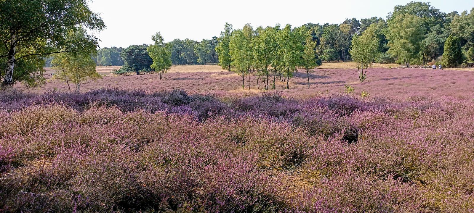 2025 08 15 SNC Wandern 0001